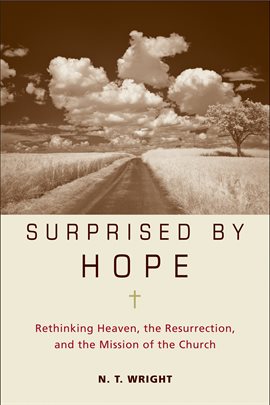 Cover image for Surprised by Hope