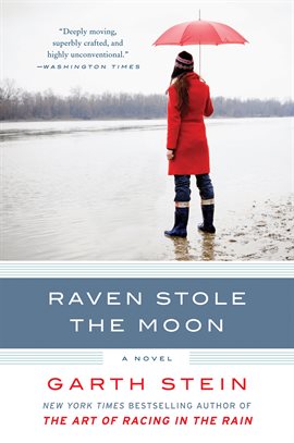 Cover image for Raven Stole the Moon