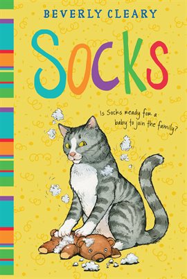 Cover image for Socks