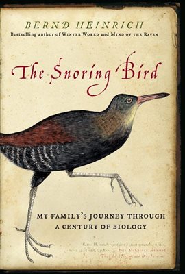 Cover image for The Snoring Bird