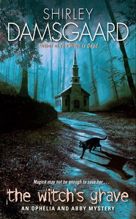 Cover image for The Witch's Grave