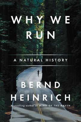 Cover image for Why We Run