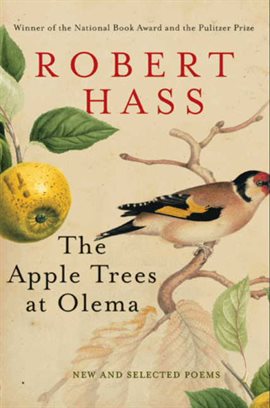 Cover image for The Apple Trees at Olema