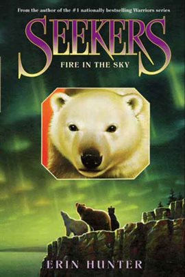 Cover image for Fire in the Sky