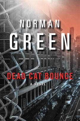 Cover image for Dead Cat Bounce