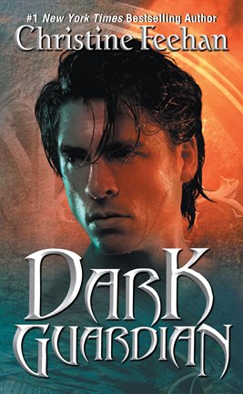 Cover image for Dark Guardian