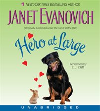 Cover image for Hero at Large