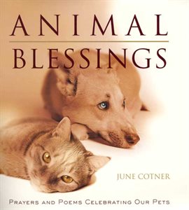 Cover image for Animal Blessings