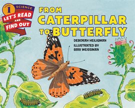 Imagen de portada para From Caterpillar to Butterfly