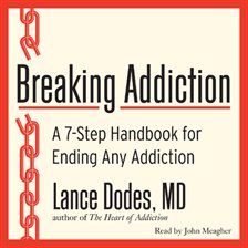 Cover image for Breaking Addiction