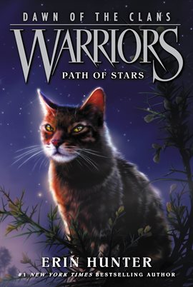Cover image for Path of Stars