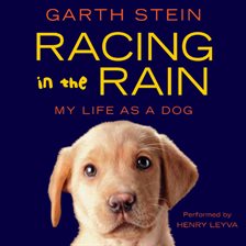 Cover image for Racing in the Rain