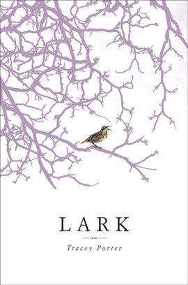 Cover image for Lark