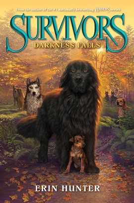 Cover image for Darkness Falls