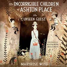 Cover image for The Unseen Guest