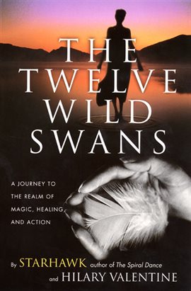 Cover image for The Twelve Wild Swans