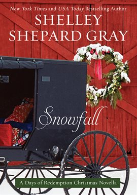 Cover image for Snowfall