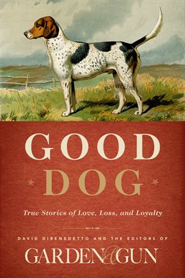 Cover image for Good Dog