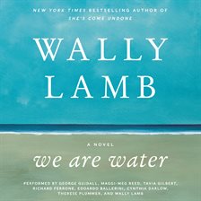 Cover image for We Are Water