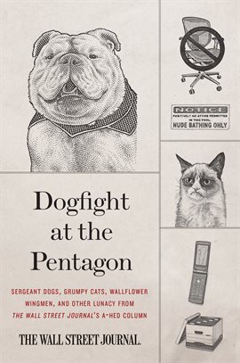 Cover image for Dogfight at the Pentagon