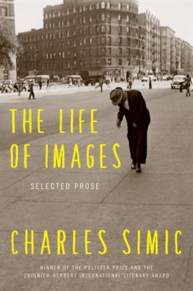 Cover image for The Life of Images