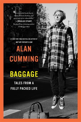 Cover image for Baggage