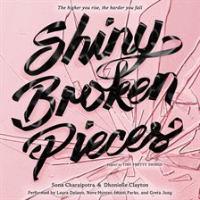 Cover image for Shiny Broken Pieces