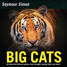 Cover image for Big Cats