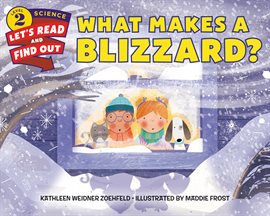 Cover image for What Makes a Blizzard?