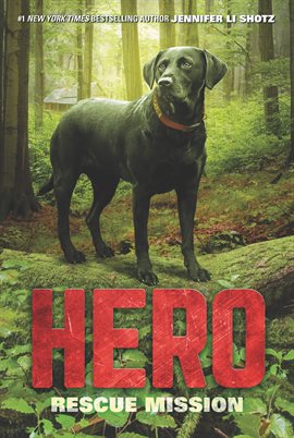 Cover image for Hero