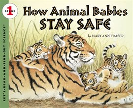 Cover image for How Animal Babies Stay Safe