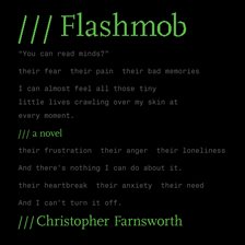 Cover image for Flashmob