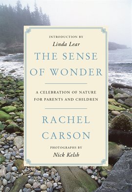 Cover image for The Sense of Wonder