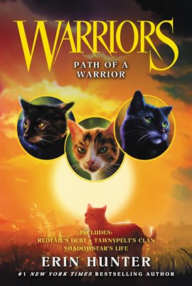 Cover image for Path of a Warrior