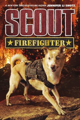 Cover image for Firefighter