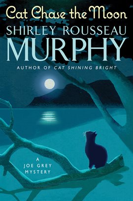 Cover image for Cat Chase the Moon
