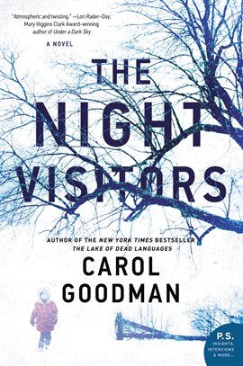 Cover image for The Night Visitors