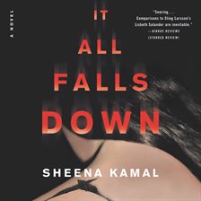 Cover image for It All Falls Down