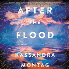 Cover image for After the Flood