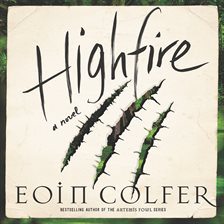 Cover image for Highfire