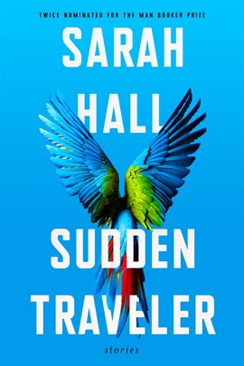 Cover image for Sudden Traveler