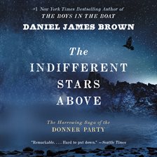 Cover image for The Indifferent Stars Above