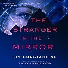 Cover image for The Stranger in the Mirror