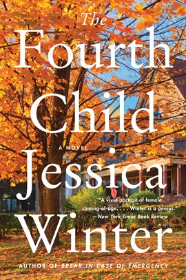 Cover image for The Fourth Child