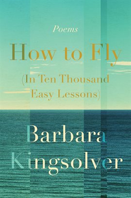 Cover image for How to Fly (In Ten Thousand Easy Lessons)