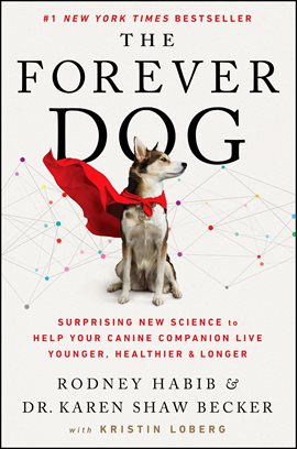 Cover image for The Forever Dog