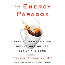 Cover image for The Energy Paradox