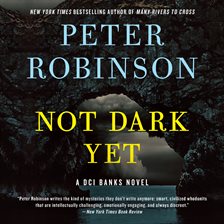 Cover image for Not Dark Yet