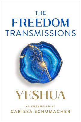 Cover image for The Freedom Transmissions