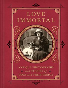 Cover image for Love Immortal
